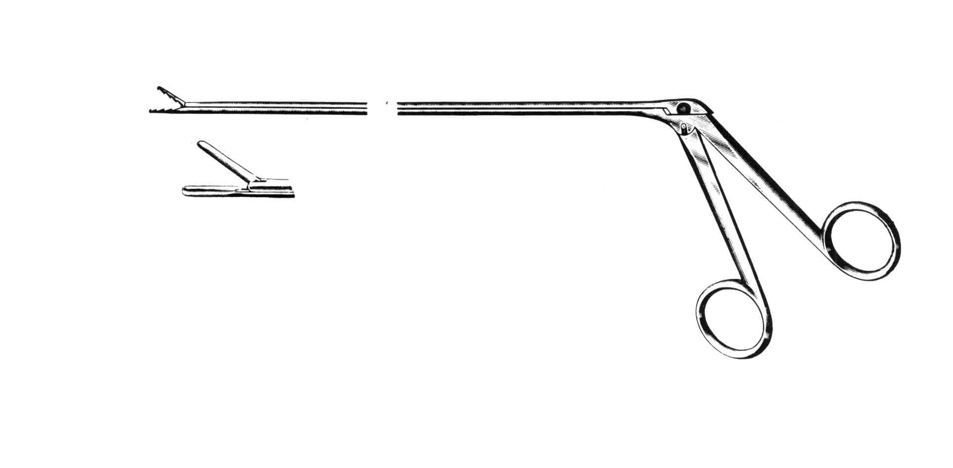 JACKSON BRONŞ-YEMEK BORUSU FORSEPS 30CM